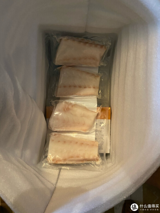 优品悦动鱼类