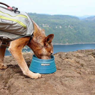 美国RW拉夫威尔ruffwear 宠物户外便携比威碗轻便可折叠防水狗碗狗猫食碗猫咪狗狗用品 泉水蓝 碗口直径：15cm 容积：1.8L