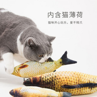 宠物猫玩具仿真鱼抱枕猫薄荷玩具鱼形枕逗猫玩具 鲫鱼中号