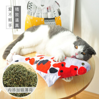 宠物猫玩具仿真鱼抱枕猫薄荷玩具鱼形枕逗猫玩具 鲫鱼中号