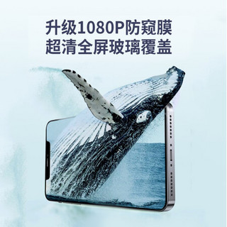 品胜 苹果12Pro Max 防窥钢化膜 iPhone12pro max防窥手机贴膜 全屏保护膜防摔防爆抗指纹6.7英寸 两片装