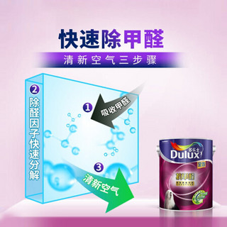 多乐士（Dulux）抗甲醛全效 内墙乳胶漆 油漆涂料 墙面漆A999两桶套装6L*2