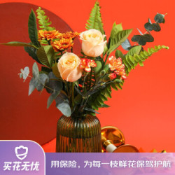 省30元 花点时间混合花束鲜花速递生活鲜花定制花束甜甜 玫瑰康乃馨混合花束1月15日陆续发货 预计周六 周日收花 多少钱 什么值得买 省30元 花点时间混合花束鲜花速递生活鲜花定制花束甜甜 玫瑰康乃馨混合花束1月15日陆续发货 预计周六 周日收花 多少钱 什么值得买