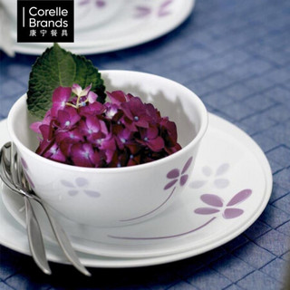 美国康宁（CORELLE)碗碟盘餐具套装 紫色幸运草16/17件组西餐盘汤碗微波炉可用 紫色幸运草17件组