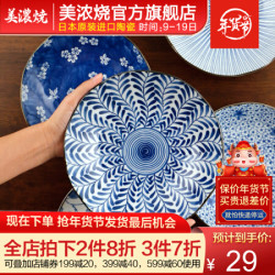 TOKI MINOYAKI Mino Yaki）美浓烧 装菜盘子 家用创意日式饺子盘 8英寸早餐点心沙拉水果盘 菀花唐草
