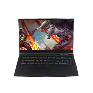 MECHREVO 机械革命 深海泰坦 X10Ti-S 17.3英寸 游戏本 黑色(酷睿i7-10875H、RTX 2070 Super 8G、16GB、512GB SSD、1080P、144Hz）