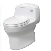 TOTO 东陶 CW988GB 智洁陶瓷坐便器