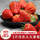 京东PLUS会员：辽宁丹东99红颜牛奶草莓 净重3斤