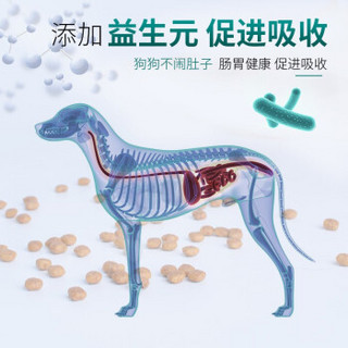 伊萨果蔬狗粮全犬期通用天然粮，成犬幼犬泰迪狗粮，营养配方美毛去泪痕改善肠胃蓝莓牛肉 果蔬粮2kg