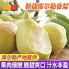 西域美农新疆库尔勒香梨4.5-5斤特产新鲜水果梨子整箱香梨现摘