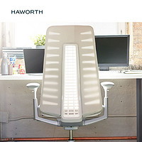 海氏 Haworth Fern 植物仿生学工学座椅