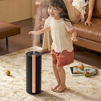 爱登EDON 39°加湿器  恒温静音加热杀菌