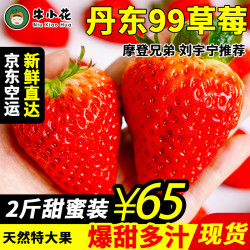 九九草莓丹东特产 红颜草莓新鲜水果现摘现发 果园直发 2斤甜蜜装(净重1.9斤)