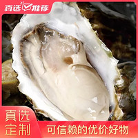 蚝范儿【真选定制】威海乳山生蚝 L号 净重4斤 肥厚饱满 鲜活保鲜 顺丰包邮