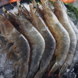 海捕速冻大白虾基围虾2斤2件