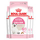  ROYAL CANIN 皇家 幼猫猫粮奶糕 K36通用粮4-12月离乳期  助免疫亲肠胃助消化 0.4kgX4　