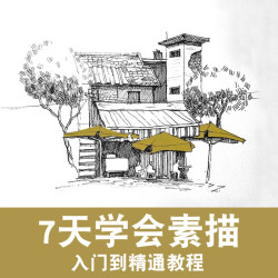 美术素描入门 视频教程