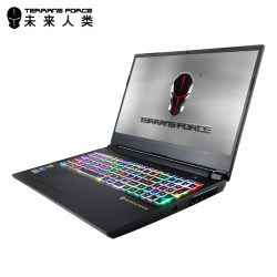 TERRANS FORCE 未来人类 AMD系列 27X9S11 15.6英寸笔记本(R9-3900、32G、1T、RTX2070)