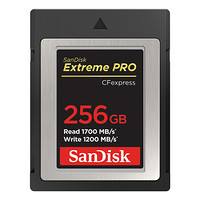SanDisk 闪迪 Extreme PRO  SDCFE-256GB-ZN4NN CF存储卡 256GB