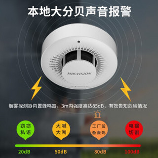 海康威视200万无线摄像机烟感套装 火灾报警器烟雾探测器 光电感烟火焰识别 可插内存卡NP-V1G-T20