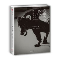 犬的记忆 森山大道自传摄影文集 森山大道 著 中信出版社
