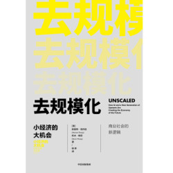 去规模化 小经济的大机会 中信出版社
