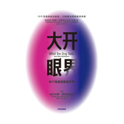 大开眼界 换个角度重新看世界 格拉德威尔经典系列 中信出版社
