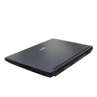 Hasee 神舟 战神 G8-CA7NT 17.3英寸 游戏本 黑色（酷睿i7-10870H、RTX 3060 6G、16GB、1TB SSD、1080P、IPS、144Hz）