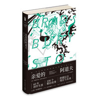亲爱的阿道夫(精装)
