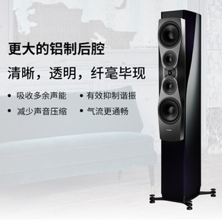 丹拿（DYNAUDIO）信心系列 Confidence 60 无源HiFi落地式音箱 高保真发烧音响 午夜蓝