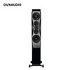 丹拿（DYNAUDIO）信心系列 Confidence 60 无源HiFi落地式音箱 高保真发烧音响 午夜蓝