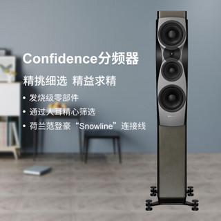 丹拿（DYNAUDIO）信心系列 Confidence 30无源HiFi落地式音箱 高保真发烧音响 烟雾灰