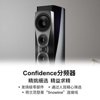 丹拿（DYNAUDIO）信心系列 Confidence 60 无源HiFi落地式音箱 高保真发烧音响 午夜蓝