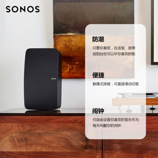 SONOS Arc+SUB+PLAY:5×2 环绕音箱5.1声道 家庭影院 电视音箱套装 后环绕豪华版（黑色）