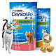 齿一生 Dentalife 齿一生 猫咪洁齿零食 2口味50g共4袋 减少牙结石小饼干成猫