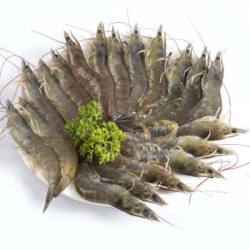 翔泰 海南白虾 300g/盒 *3件