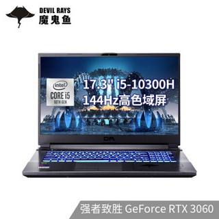 未来人类 Terrans Force DR721 17.3英寸笔记本(i5-10300H 16G 512G PCIe SSD RTX 3060Laptop)