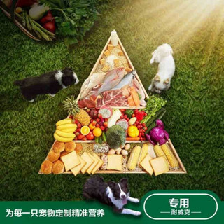 耐威克 宠物主粮中大型犬狗粮10kg（2.5kg*4包）鸡肉味 拉布拉多金毛哈士奇犬成犬通用  全价全期天然粮