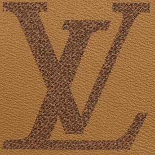 LOUIS VUITTON 路易威登 DOUBLE ZIP POCHETTE系列 女士手袋 M69203 棕色