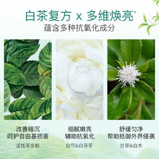 HERBORIST 佰草集 白茶玲珑打底面部精华液80ml 化妆品 补水保湿