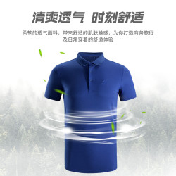 凯乐石Kailas T恤男士常规型夏 户外服t恤运动户外休闲衣裤 男款旅行POLO针织衫