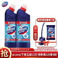 DOMESTOS 蓝多霸 长效洁厕啫喱冰川山泉香 含替换装 600g×2