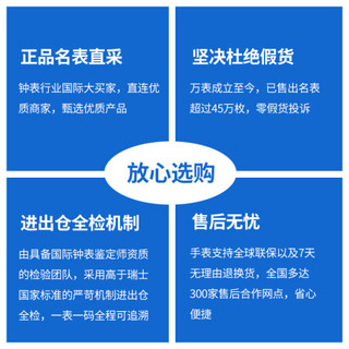 瑞士迪沃斯(DAVOSA)绅士系列  魅蓝绅士 自动机械男士手表16145611