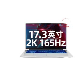 MACHENIKE 机械师 战空F117-FP 17.3英寸笔记本电脑(i7-10870H、16GB、1TB、RTX3060、165Hz)