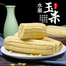 巡天上谷 水果玉米 真空装 180-220g 8支装