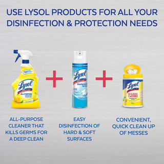 Lysol 多功能除菌清洁剂 柠檬香型 946ml*2