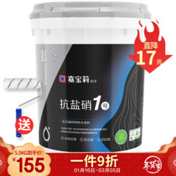 嘉宝莉CARPOLY 抗泛碱特种防水涂料抗盐硝1号强力翻新补漏 5.5kg治理装(内含清洗剂)