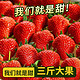 京东PLUS会员：久久草莓丹东特产 红颜草莓 果园直发空运直达 净重2.8斤