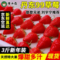 九九草莓丹东特产  新年促销大果3斤装