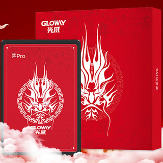 Gloway 光威 弈Pro系列 SATA 固态硬盘 512GB（SATA3.0）